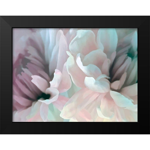 Chrysanthemum XIII Black Modern Wood Framed Art Print by Pollard, David