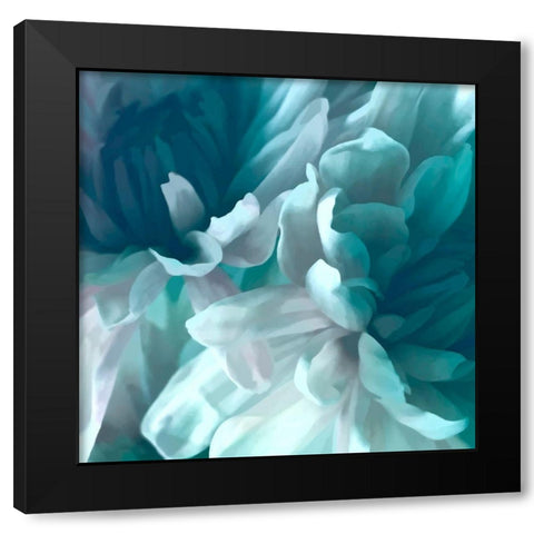 Chrysanthemum XIV Black Modern Wood Framed Art Print with Double Matting by Pollard, David