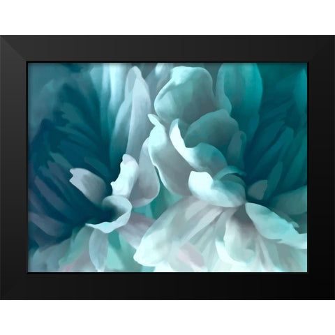Chrysanthemum XVI Black Modern Wood Framed Art Print by Pollard, David