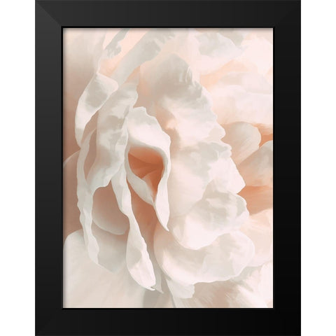 Peony Pale Sepia II Black Modern Wood Framed Art Print by Pollard, David