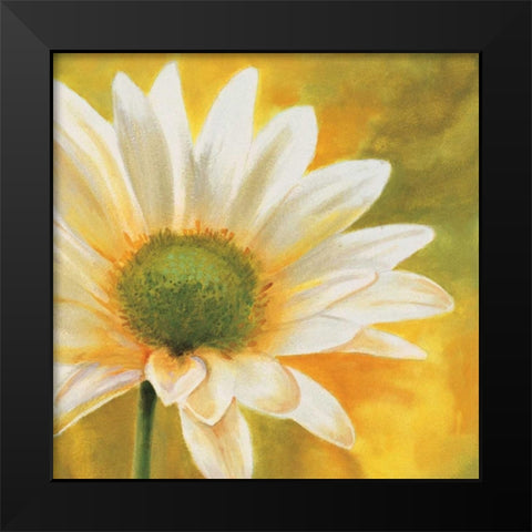 Marguerites dans le soleil 3 Black Modern Wood Framed Art Print by Viollet, Pierre