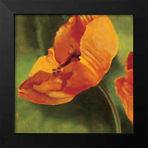 Coquelicots dans le soleil I Black Modern Wood Framed Art Print by Viollet, Pierre