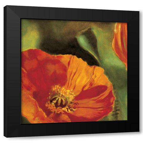 Coquelicots dans le soleil 2 Black Modern Wood Framed Art Print by Viollet, Pierre