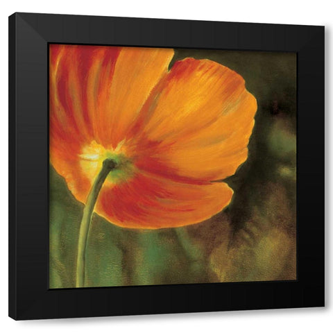 Coquelicots dans le soleil 3 Black Modern Wood Framed Art Print by Viollet, Pierre