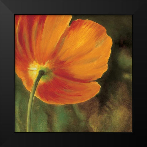 Coquelicots dans le soleil 3 Black Modern Wood Framed Art Print by Viollet, Pierre