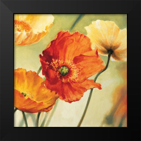Champs de coquelicots II Black Modern Wood Framed Art Print by Viollet, Pierre