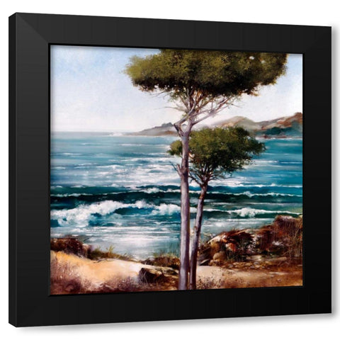 California Breeze Black Modern Wood Framed Art Print with Double Matting by Di Scenza, Ron