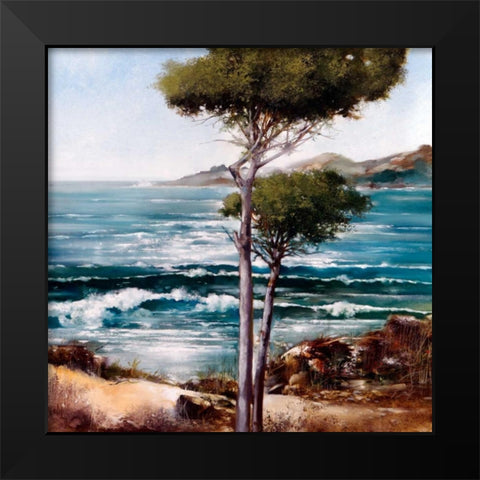 California Breeze Black Modern Wood Framed Art Print by Di Scenza, Ron