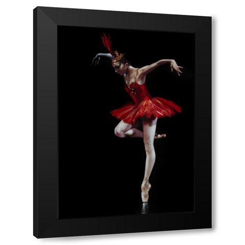 Flamingo Dancer Black Modern Wood Framed Art Print with Double Matting by Di Scenza, Ron