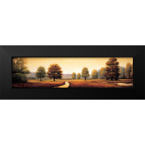Landscape Panorama I Black Modern Wood Framed Art Print by Franklin, Ryan
