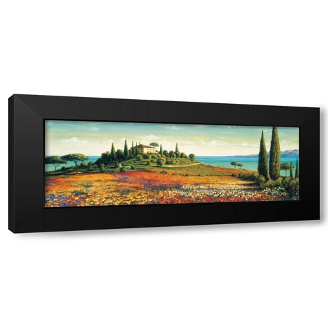 Afternoon Light Black Modern Wood Framed Art Print with Double Matting by Leblanc, Richard