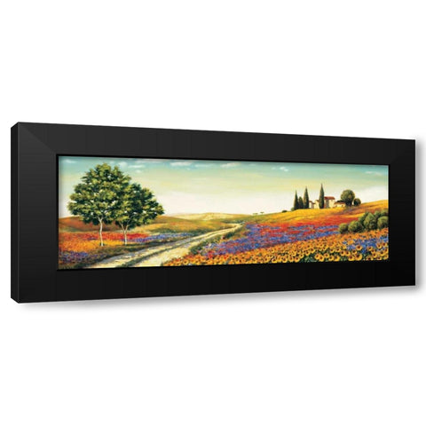 Morning in the Valley Black Modern Wood Framed Art Print with Double Matting by Leblanc, Richard