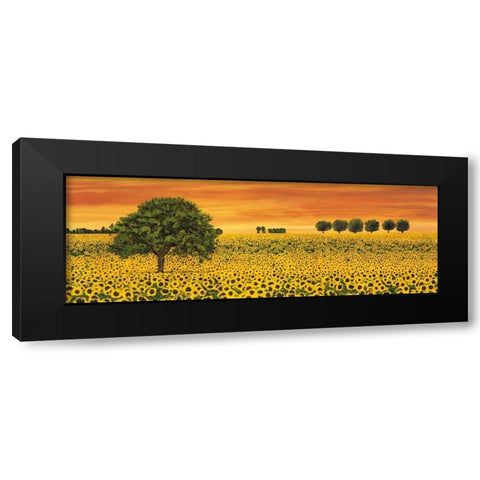 Field of Sunflowers Black Modern Wood Framed Art Print with Double Matting by Leblanc, Richard