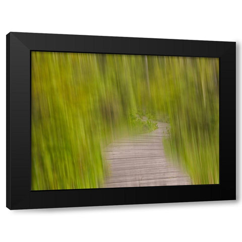 North America, Canada, Queen C Black Modern Wood Framed Art Print by Plank, Savanah