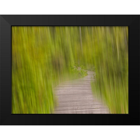 North America, Canada, Queen C Black Modern Wood Framed Art Print by Plank, Savanah