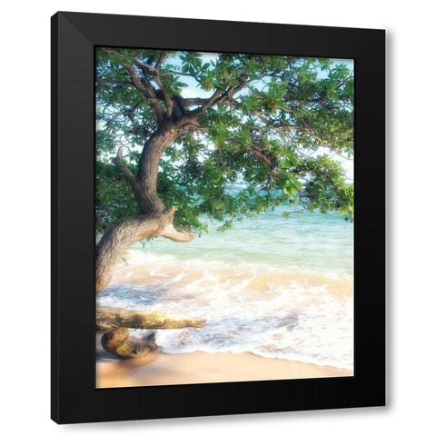 USA, Hawaii, Kauai Black Modern Wood Framed Art Print by Plank, Savanah