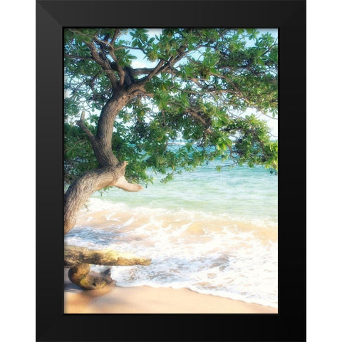 USA, Hawaii, Kauai Black Modern Wood Framed Art Print by Plank, Savanah