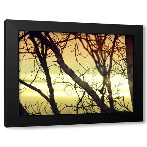 Aspen Sunset Black Modern Wood Framed Art Print by Plank, Savanah
