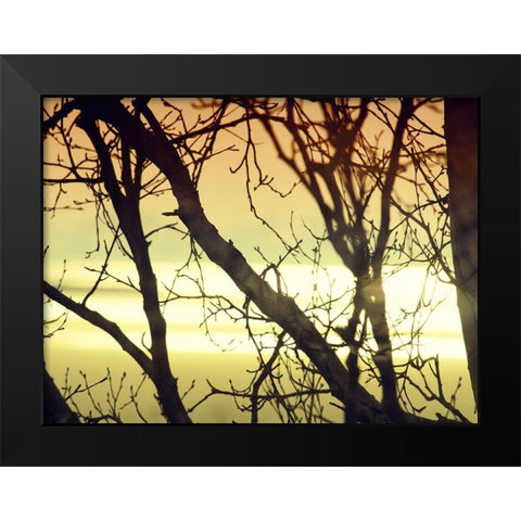 Aspen Sunset Black Modern Wood Framed Art Print by Plank, Savanah