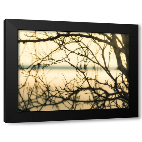 Aspen Sunset Black Modern Wood Framed Art Print with Double Matting by Plank, Savanah