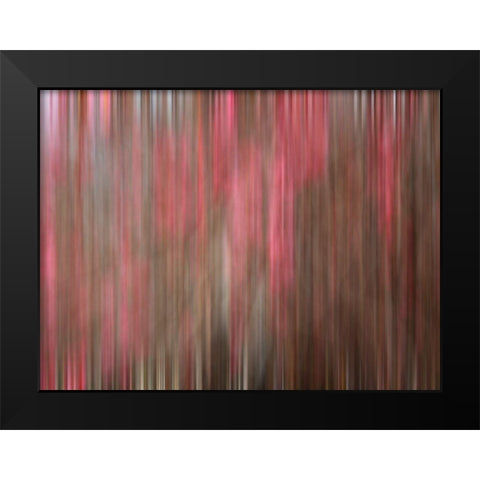 Crabapple Tree blossoms Black Modern Wood Framed Art Print by Plank, Savanah