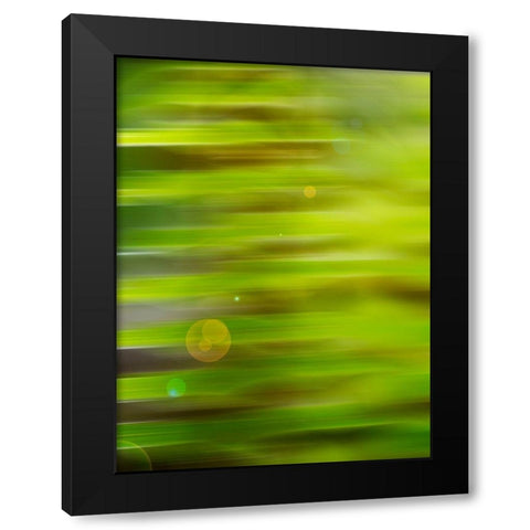 Abstract green flora Black Modern Wood Framed Art Print with Double Matting by Plank, Savanah