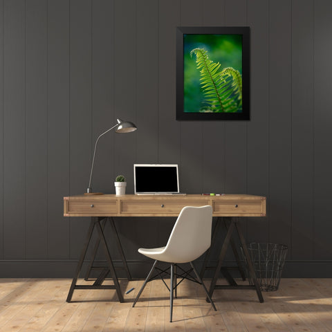 Garden Fern Black Modern Wood Framed Art Print by Plank, Savanah