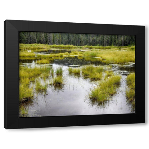 Hatchers Pass creek marsh Black Modern Wood Framed Art Print by Plank, Savanah