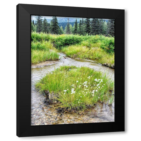 Alaska marshland Black Modern Wood Framed Art Print by Plank, Savanah