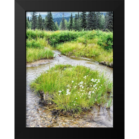 Alaska marshland Black Modern Wood Framed Art Print by Plank, Savanah
