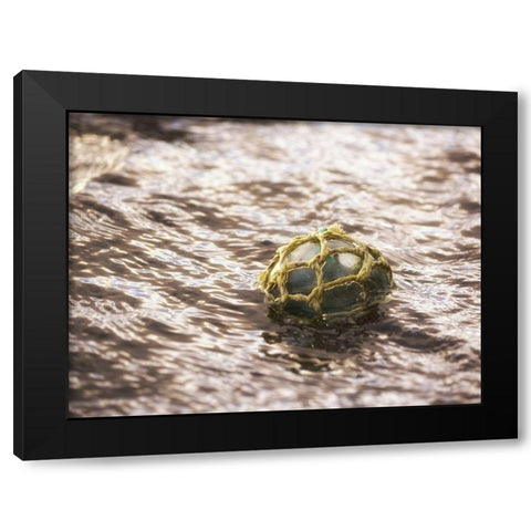 Vintage glass float Black Modern Wood Framed Art Print with Double Matting by Plank, Savanah
