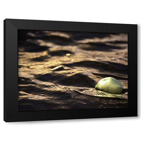 USA, Southeast Alaska, Ketchik Black Modern Wood Framed Art Print by Plank, Savanah