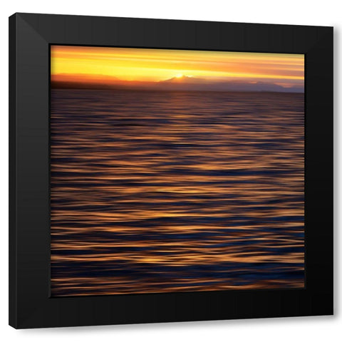 USA, Southeast Alaska, Ketchik Black Modern Wood Framed Art Print by Plank, Savanah