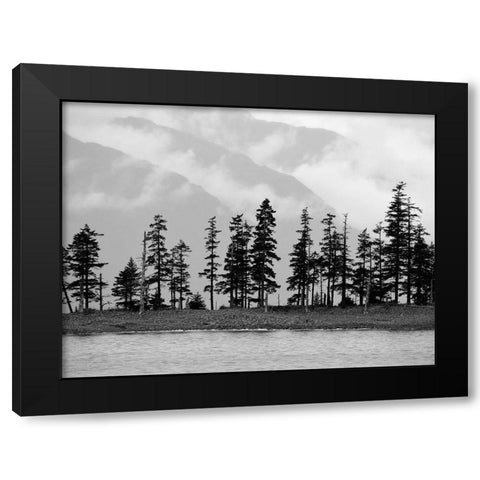 Pines Black Modern Wood Framed Art Print by Plank, Savanah