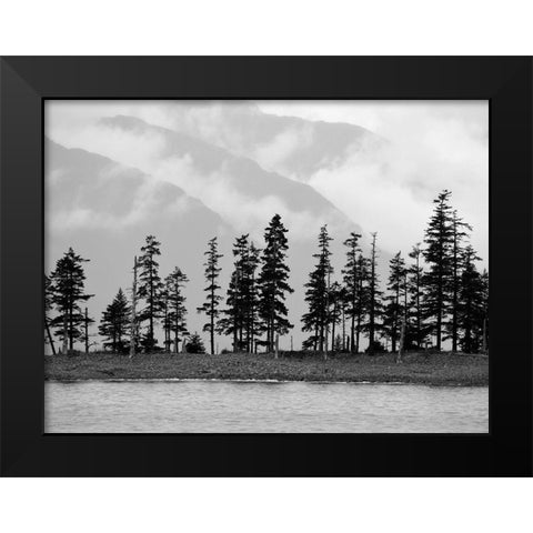 Pines Black Modern Wood Framed Art Print by Plank, Savanah