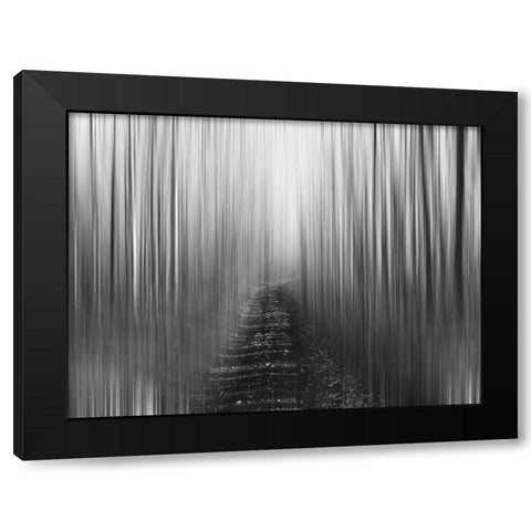 Path Black Modern Wood Framed Art Print by Plank, Savanah