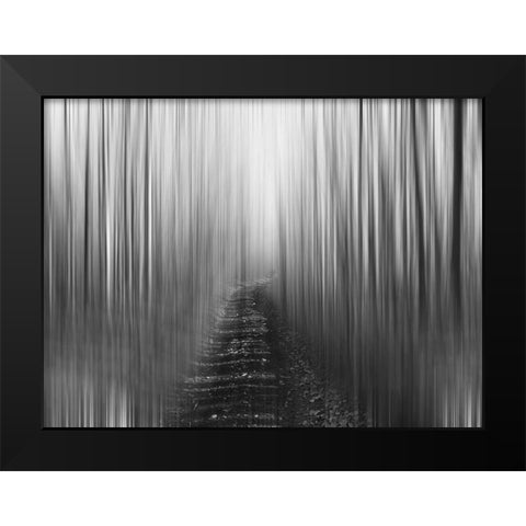 Path Black Modern Wood Framed Art Print by Plank, Savanah
