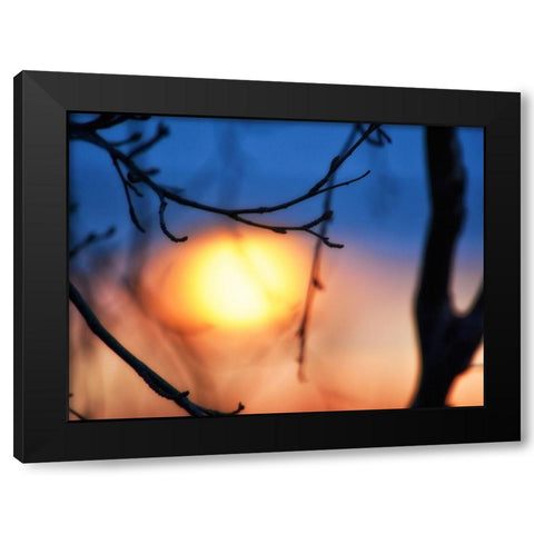 Abstract Sunset Black Modern Wood Framed Art Print by Plank, Savanah