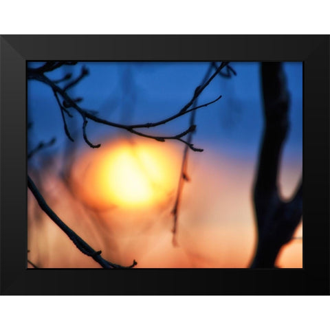 Abstract Sunset Black Modern Wood Framed Art Print by Plank, Savanah