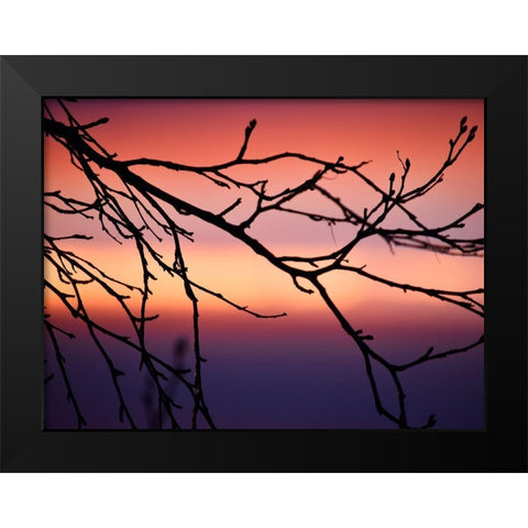 Abstract Sunset Black Modern Wood Framed Art Print by Plank, Savanah