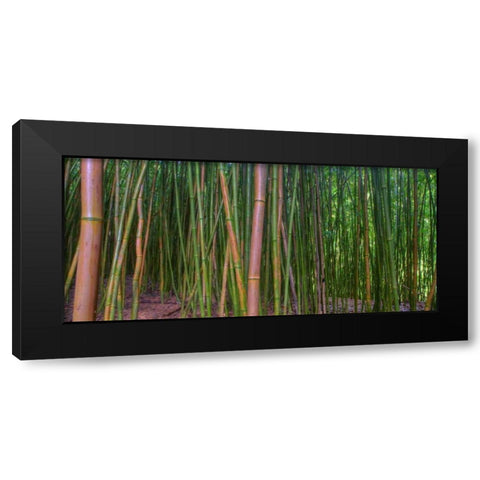 Bamboo Black Modern Wood Framed Art Print by Bennion, Scott