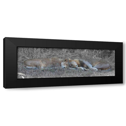 Lovers Black Modern Wood Framed Art Print by Bennion, Scott