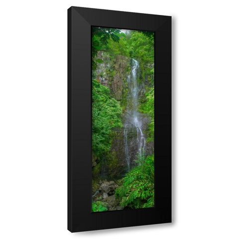 Maui Waterfall Black Modern Wood Framed Art Print with Double Matting by Bennion, Scott