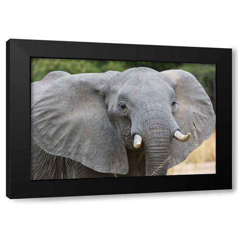 Mia Black Modern Wood Framed Art Print with Double Matting by Bennion, Scott