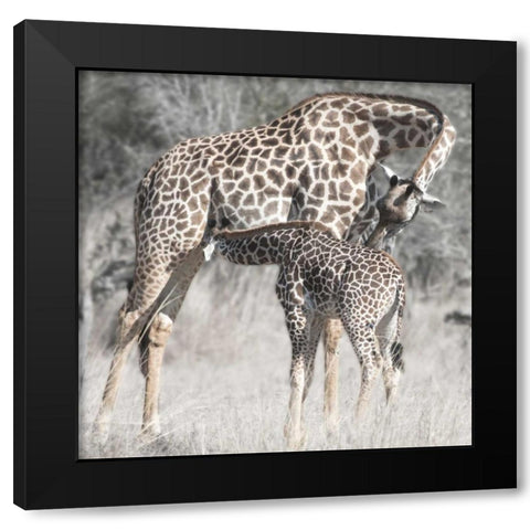 Mother and Daughter Black Modern Wood Framed Art Print by Bennion, Scott