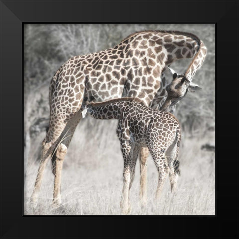 Mother and Daughter Black Modern Wood Framed Art Print by Bennion, Scott
