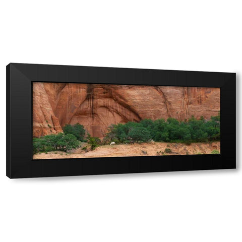 Wild Horses at Keet Seel Black Modern Wood Framed Art Print by Bennion, Scott
