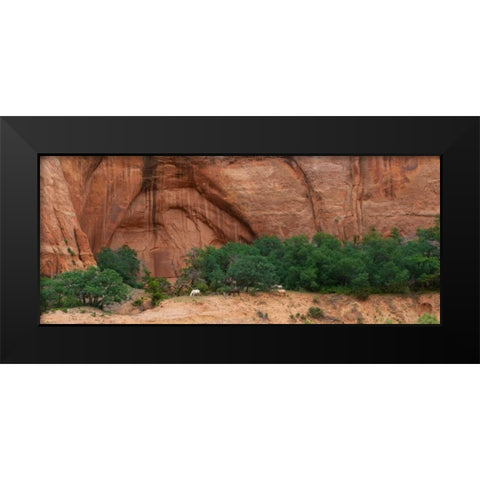 Wild Horses at Keet Seel Black Modern Wood Framed Art Print by Bennion, Scott