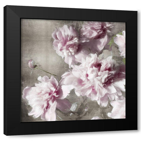 Peonies on Silver II Black Modern Wood Framed Art Print with Double Matting by Sullivan, Shawna