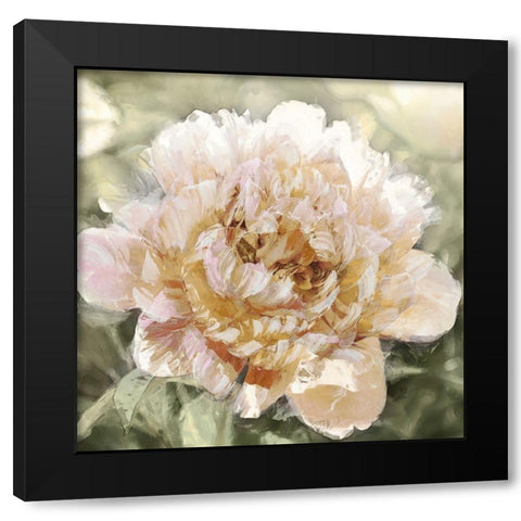 Solo I Black Modern Wood Framed Art Print by Sullivan, Shawna